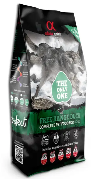 duck.webp