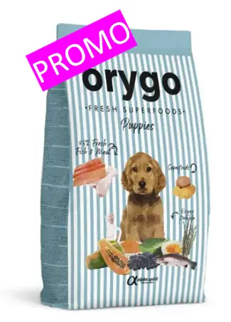 Alpha Spirit Orygo Puppies